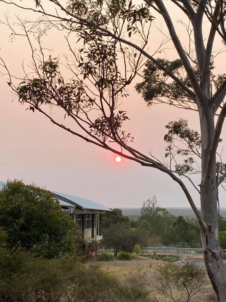 bushfire sun